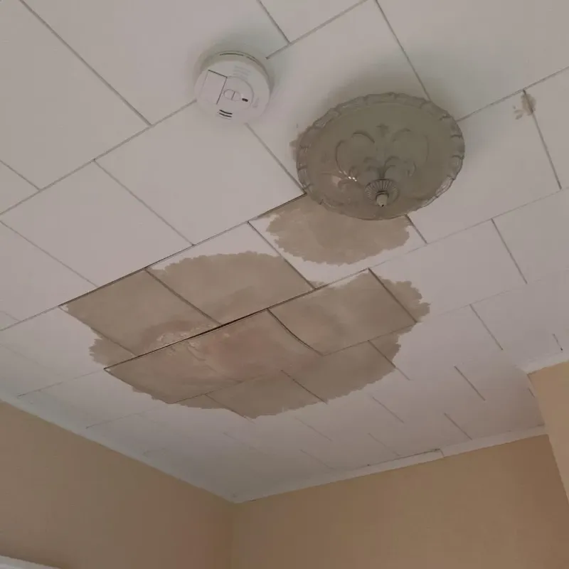Ceiling Water Damage Repair in Saint John, MO