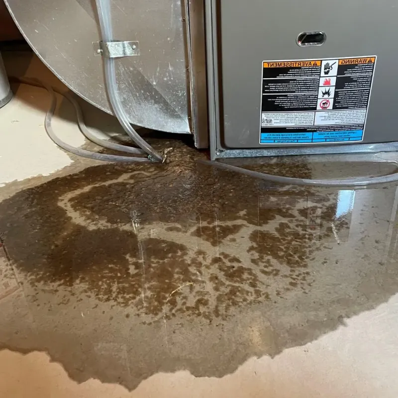 Pipe Burst and Leak Restoration in Saint John, MO